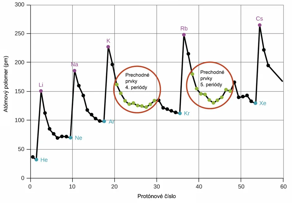 Periodický trend atómového polomeru – v rámci jednej periódy polomer klesá a v rámci skupiny stúpa. Prechodné prvky 4. a 5. periódy majú mierne odlišný trend kvôli zapĺňaniu d-orbitálov.