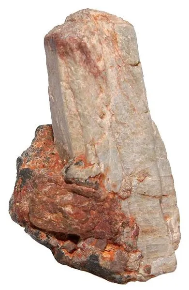 thortveitit