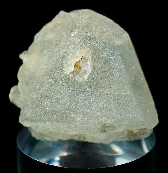 polucit
