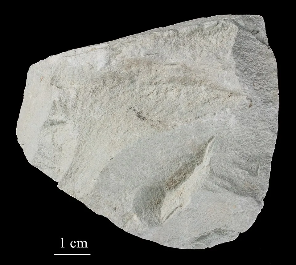 zeolit